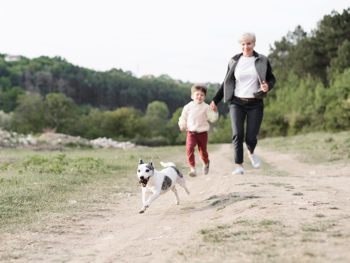 Finca los Pájaros - Casa Rural para Familias