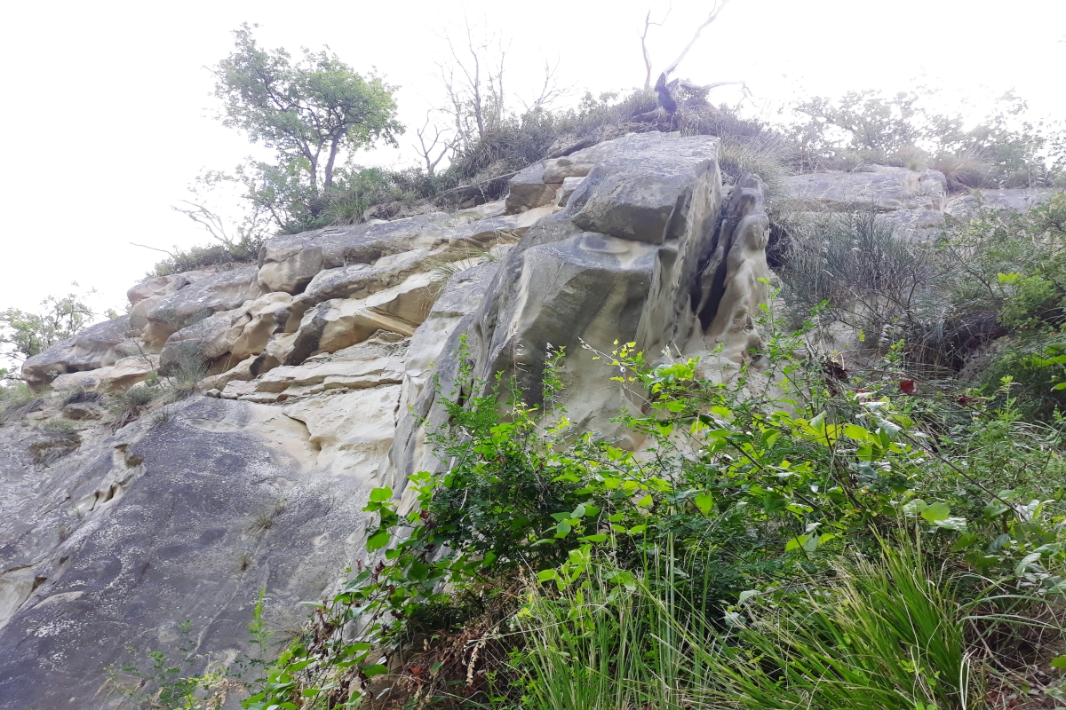 Ruta Hoz de Carboneros Montes de Toledo