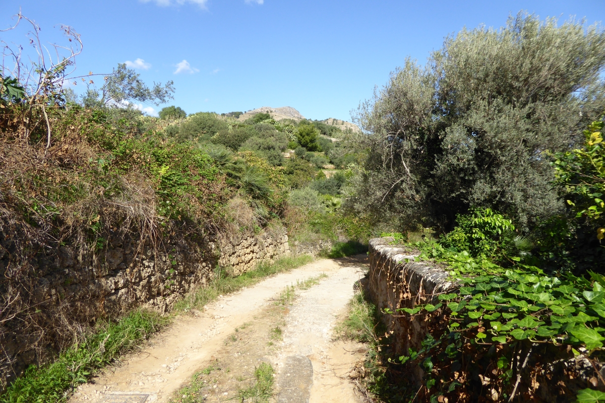 Ruta de Senderismo por la Sombrerera Montes de Toledo