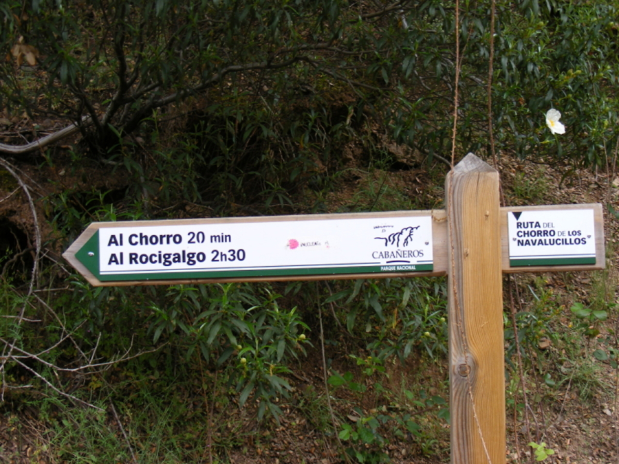 Al Chorro y al Rocigalgo, Finca