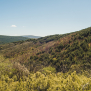 Finca Montes de Toledo Entorno