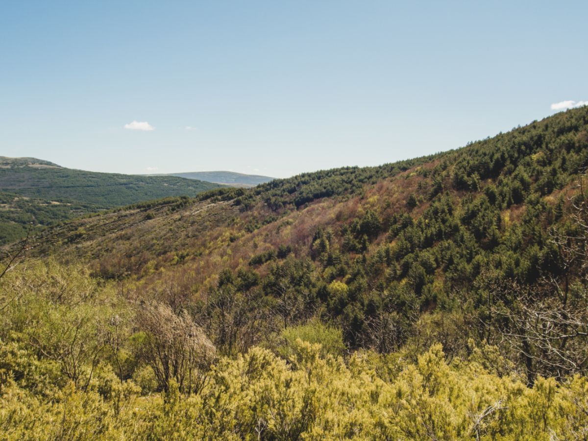 Finca Montes de Toledo Entorno