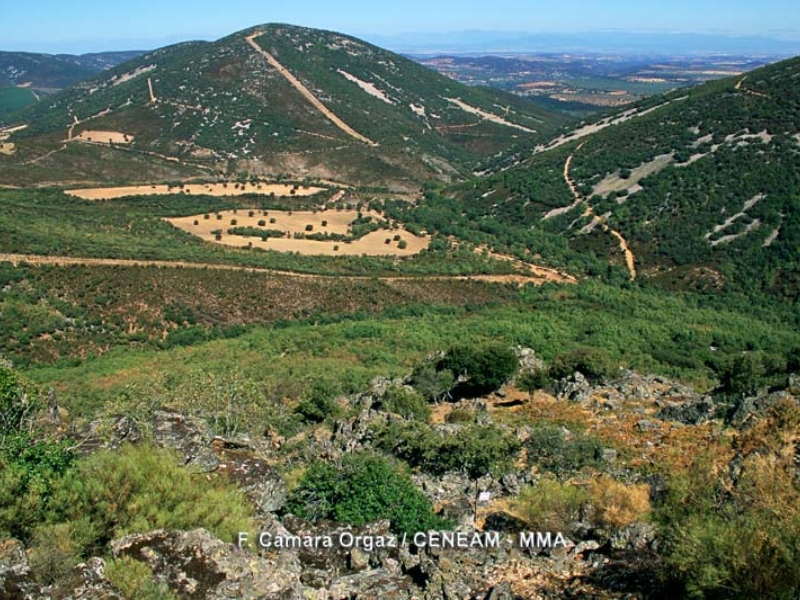 Pico "Corral de Cantos"