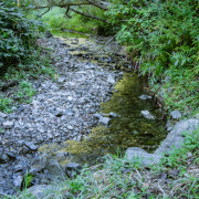 La hoz de Carboneros - Finca Los Pájaros