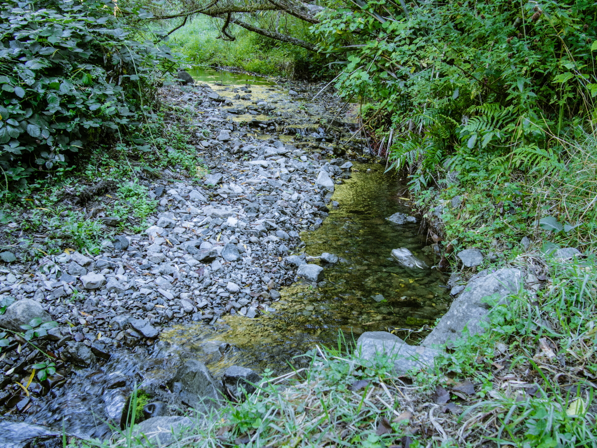 La hoz de Carboneros - Finca Los Pájaros
