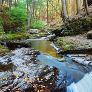Hoz de Carboneros - Casa Rural Finca los Pájaros