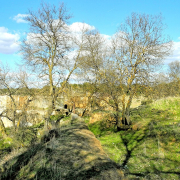 Los Navalmorales - Molino del Colado