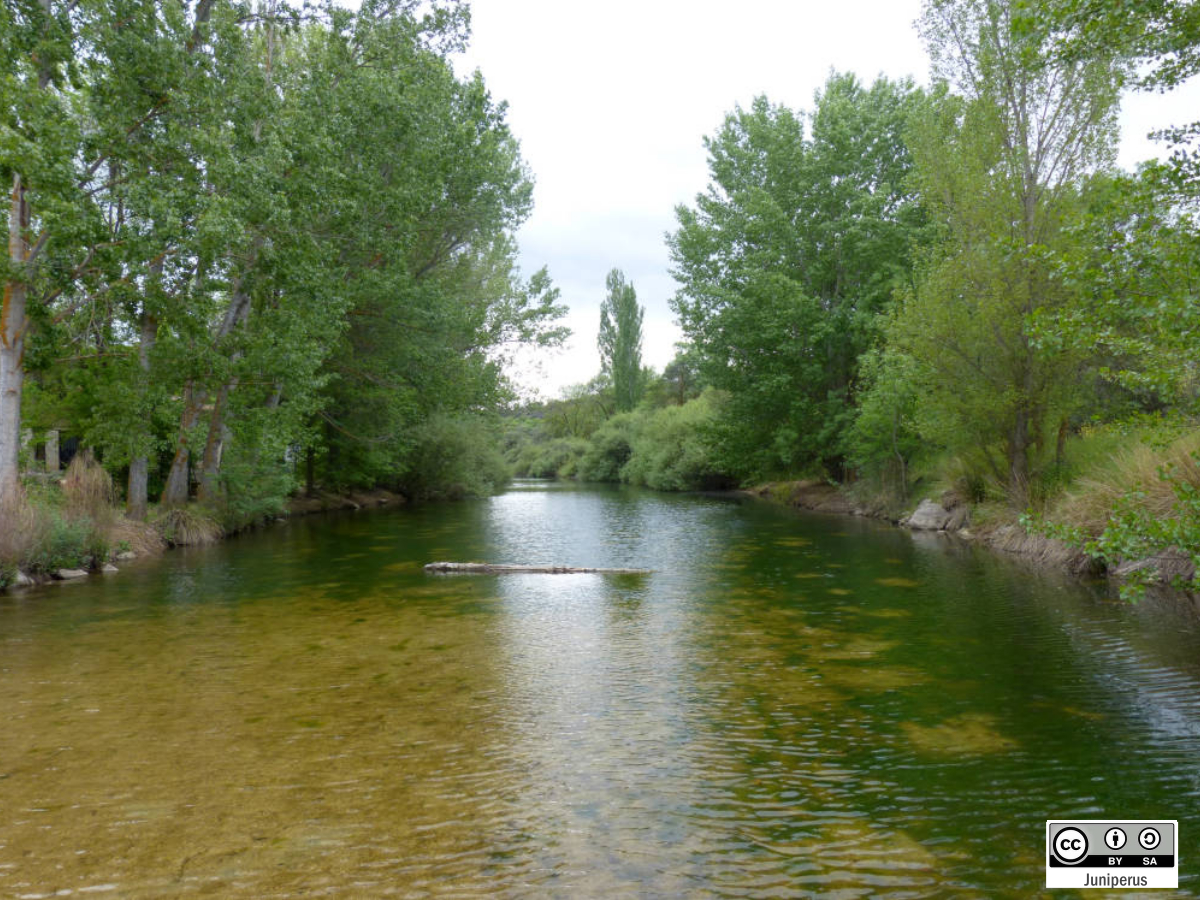 El Arroyo y el Embalse del Torcón