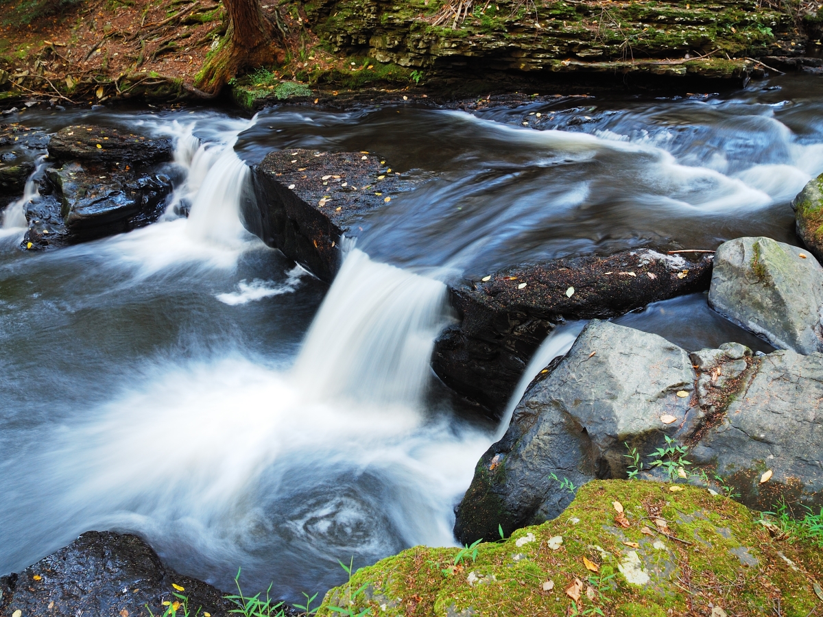 Ruta Arroyo de las Lanchas Montes de Toledo