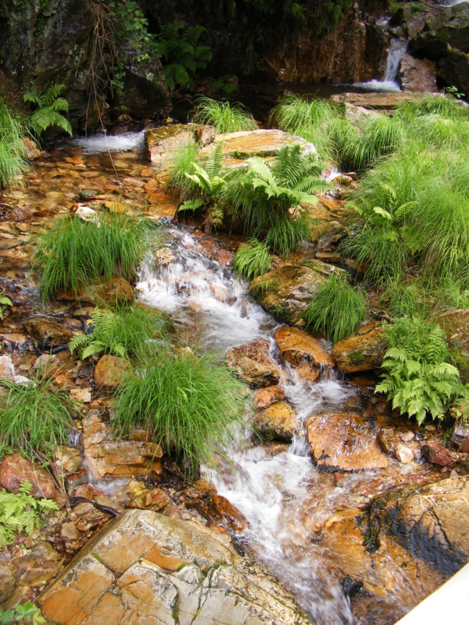Finca, Ruta del Chorro en Cabañeros