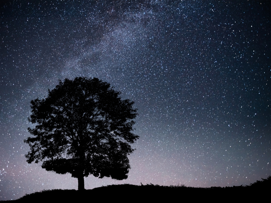 Turismo de Estrellas en los Montes de Toledo